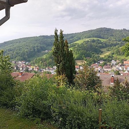 Das Tor Zum Odenwald Gorxheimertal Екстер'єр фото