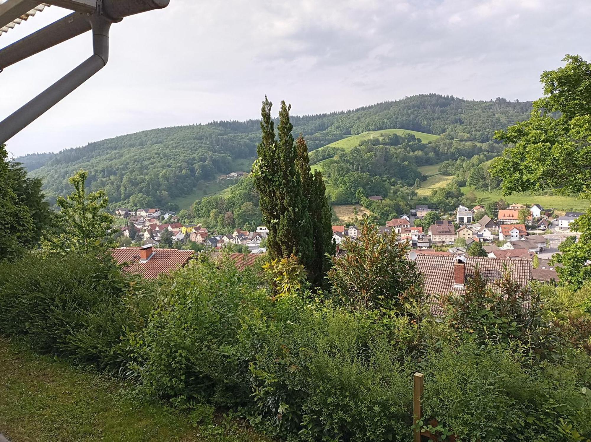 Das Tor Zum Odenwald Gorxheimertal Екстер'єр фото