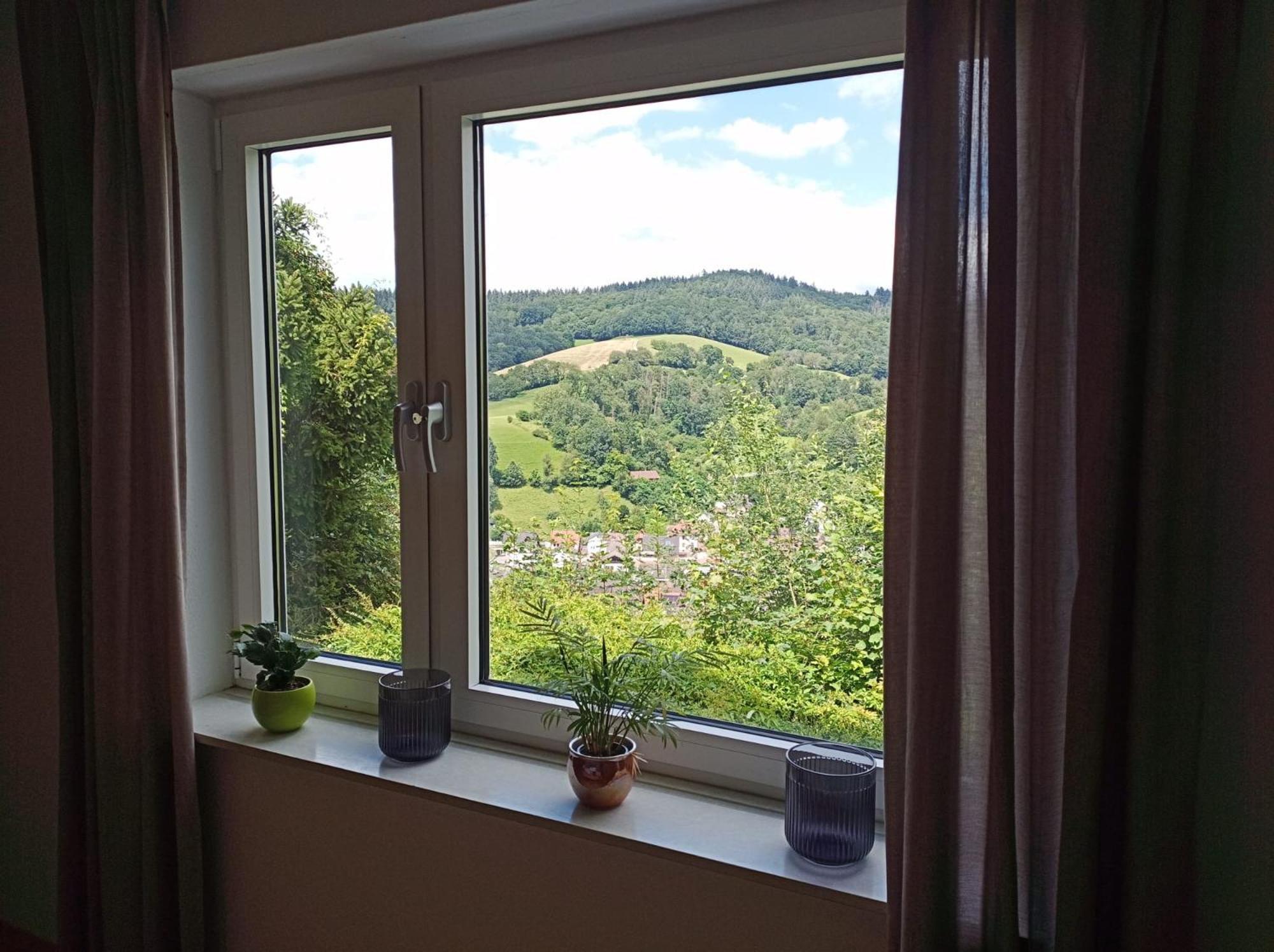 Das Tor Zum Odenwald Gorxheimertal Екстер'єр фото