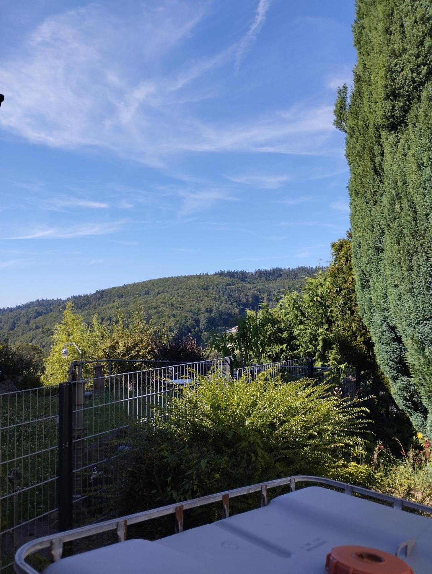 Das Tor Zum Odenwald Gorxheimertal Екстер'єр фото