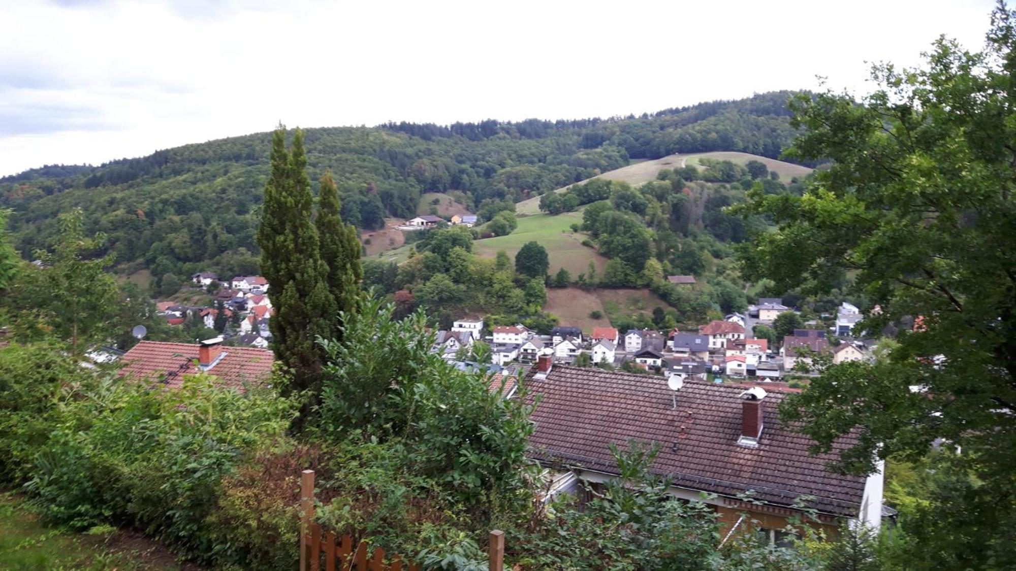 Das Tor Zum Odenwald Gorxheimertal Екстер'єр фото
