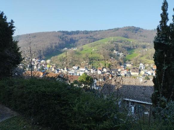 Das Tor Zum Odenwald Gorxheimertal Екстер'єр фото